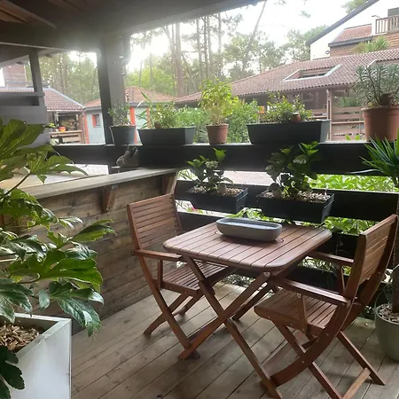 Calme Bord De Foret Apartment *